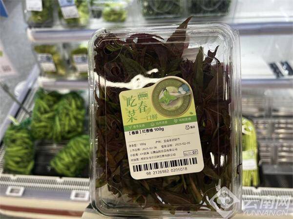 茬香椿已上市 批发价80元公斤PG电子麻将胡了试玩昆明市场头(图3)
